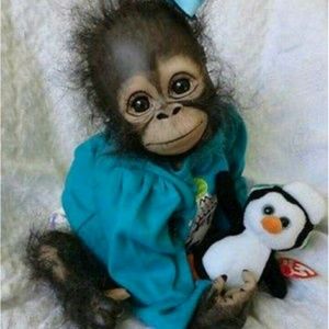 Meet your Posher, Eli